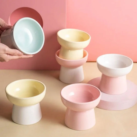 Elevated ceramic cat bowl 300ml raised feeder for neck protection
